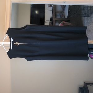 Calvin Klein Shift Dress
